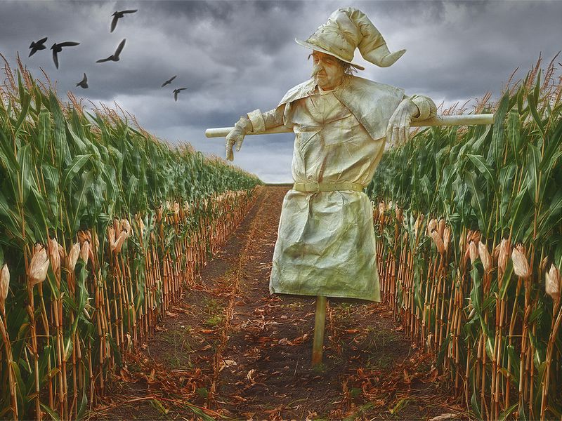 Your US STRAWMAN